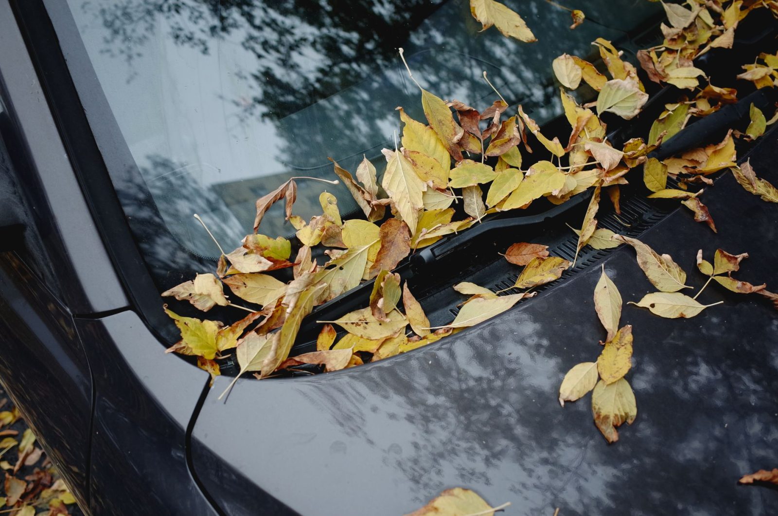 Silikónová stierka na auto: Výhody a ako ju bezpečne používať